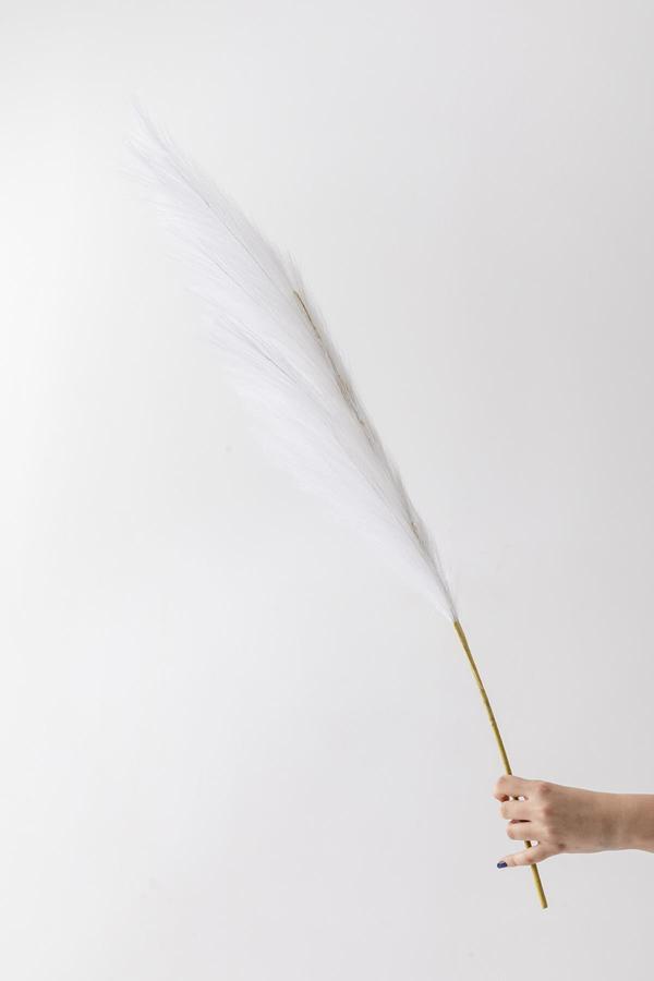 Yapay Pampas Çiçeği 100 Cm Tek Dal Beyaz - Image 1