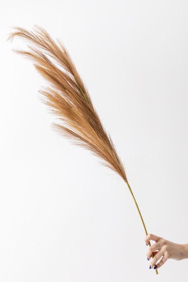 Yapay Pampas Çiçeği 100 Cm Tek Dal Kahverengi - Image 1