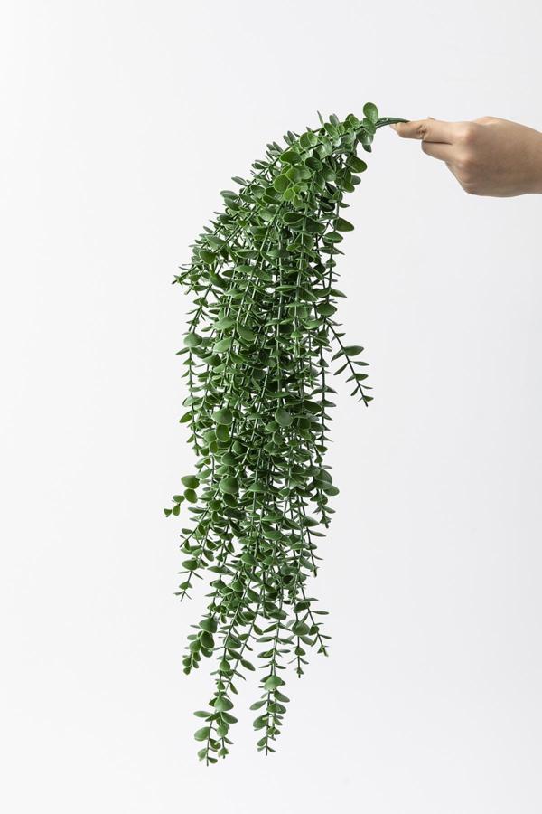 Yapay Okaliptus Sarmaşık Uv Korumalı Koyu Yeşil 90 Cm 5 Dal - Image 1