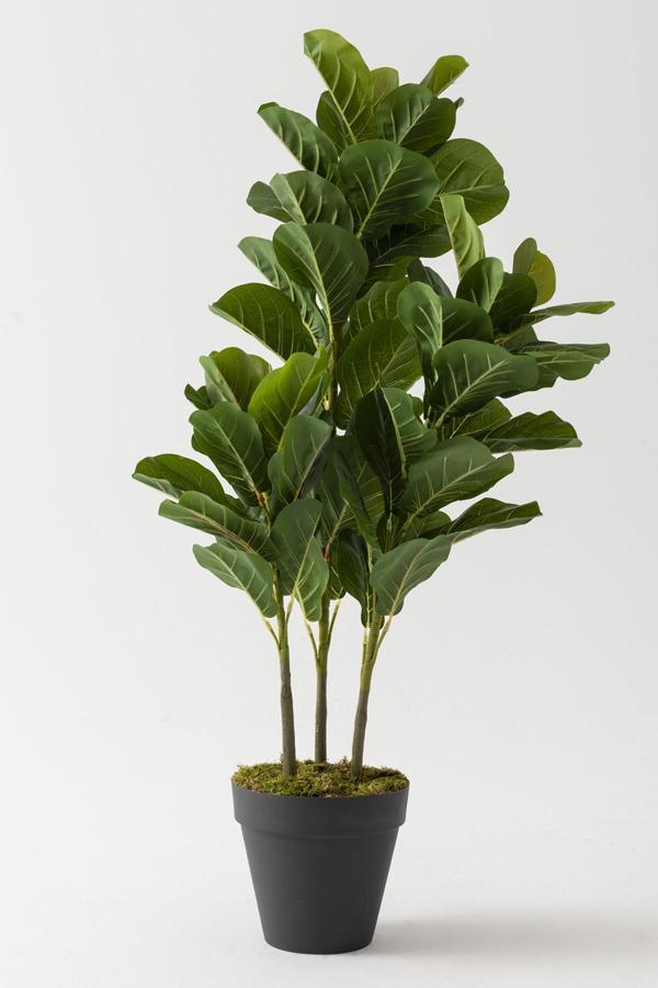 Yapay Kauçuk Ağacı 120 Cm - Image 1