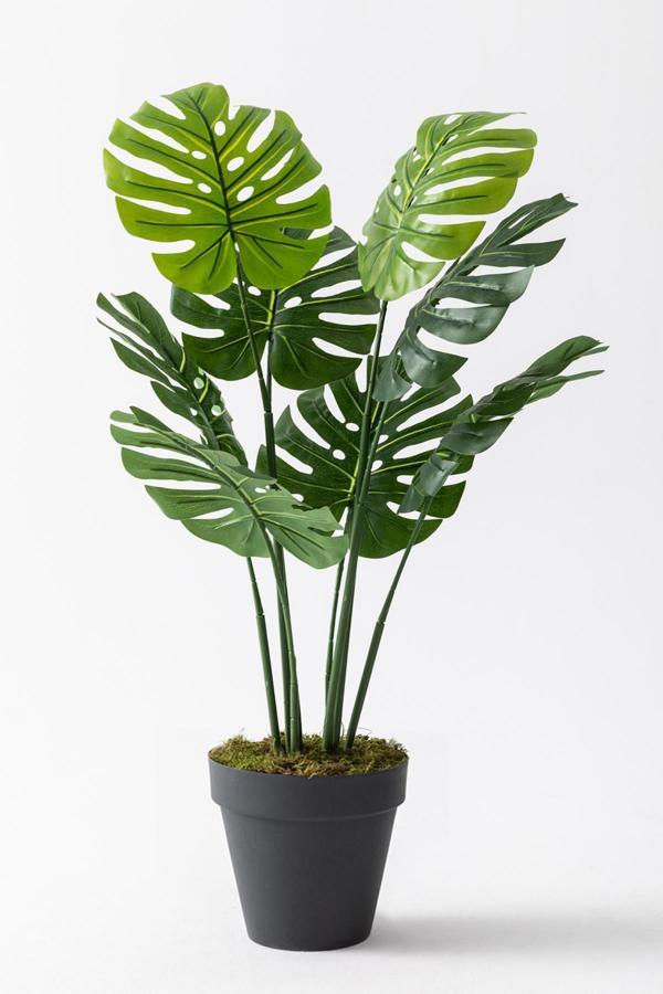 Yapay DeveTabanı(Monstera) Ağacı 100 Cm - Image 1