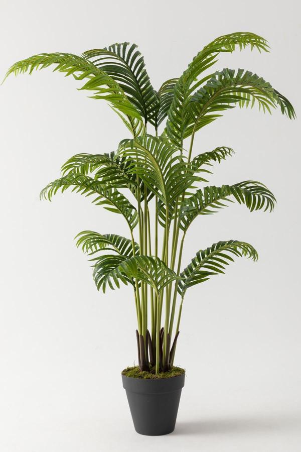 Yapay Palmiye Ağacı 200 Cm - Image 1
