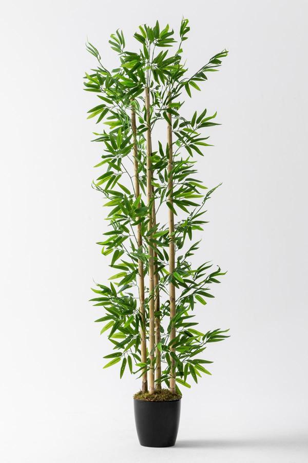 Yapay Bambu Ağacı 180 cm - Image 1