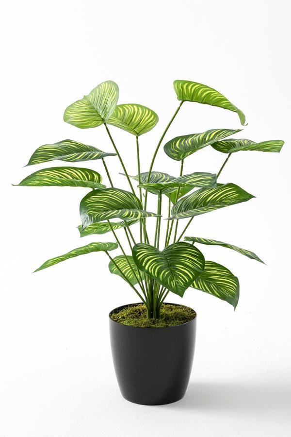 Yapay Salon Köşe Çiçeği Devetabanı Yeşil Sarı 65 Cm - Image 1