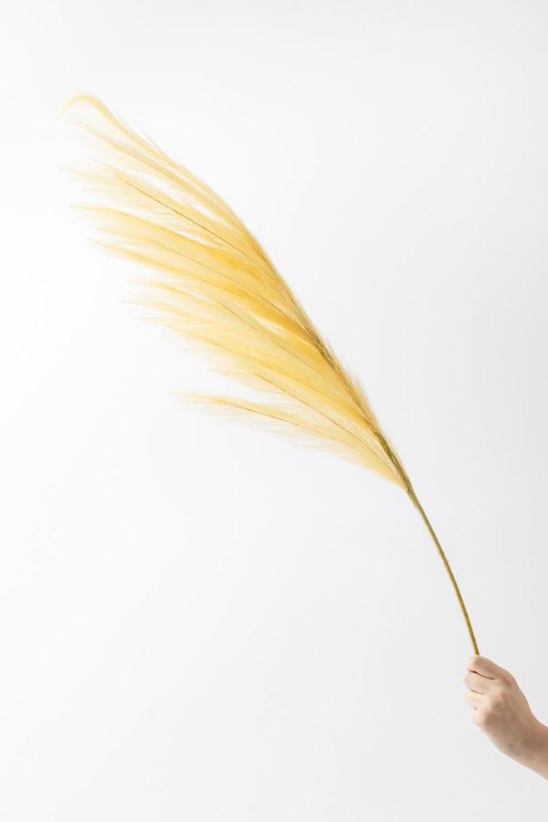 Yapay Pampas Çiçeği 100 Cm Tek Dal Sarı - Image 1