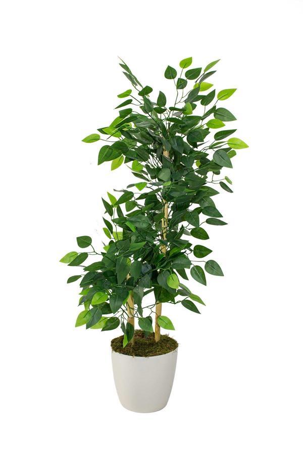 Yapay Benjamin Ağacı Bambu Gövdeli 100 cm - Image 1