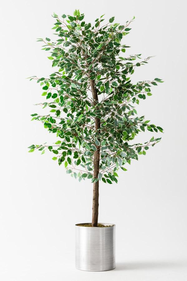 Yapay Starlight Benjamin Ağacı 180 Cm - Image 1