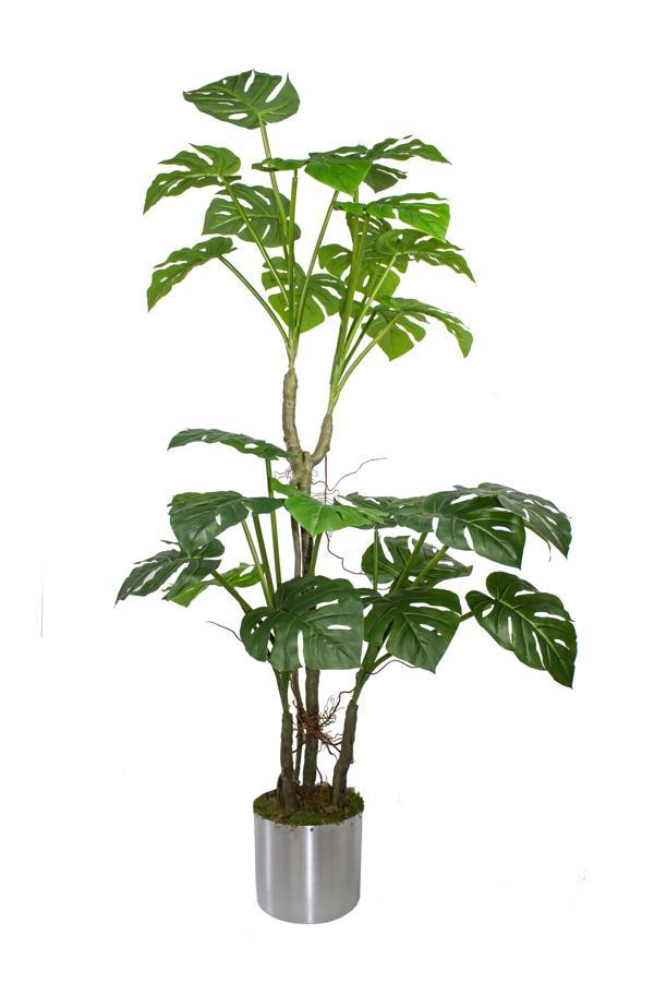 Yapay Ağaç Monstera 170 Cm 29 Yaprak - Image 1