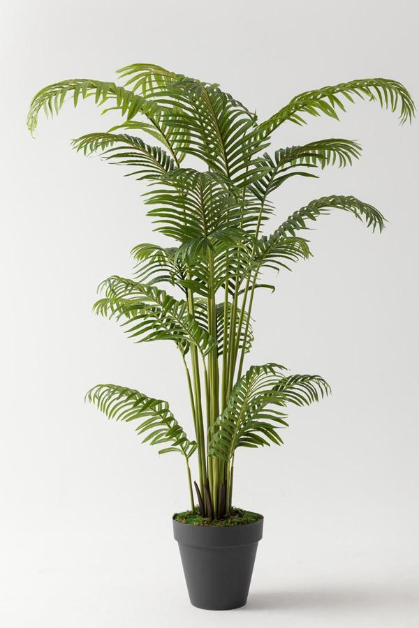 Yapay Palmiye Ağacı 180 Cm - Image 1