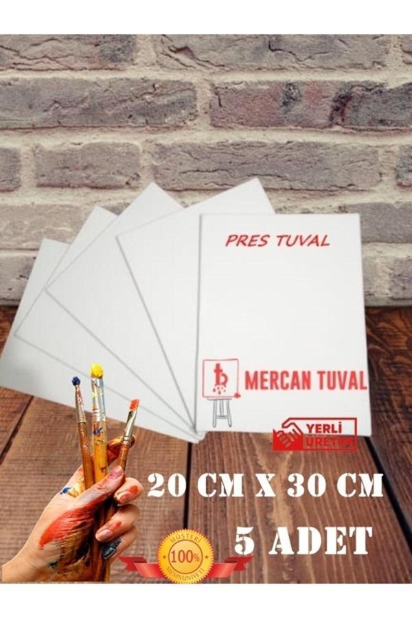 Mercan Tuval Pres Tuval 5 Li Paket Tuval 20 Cm 30 Cm Beyaz - Image 1