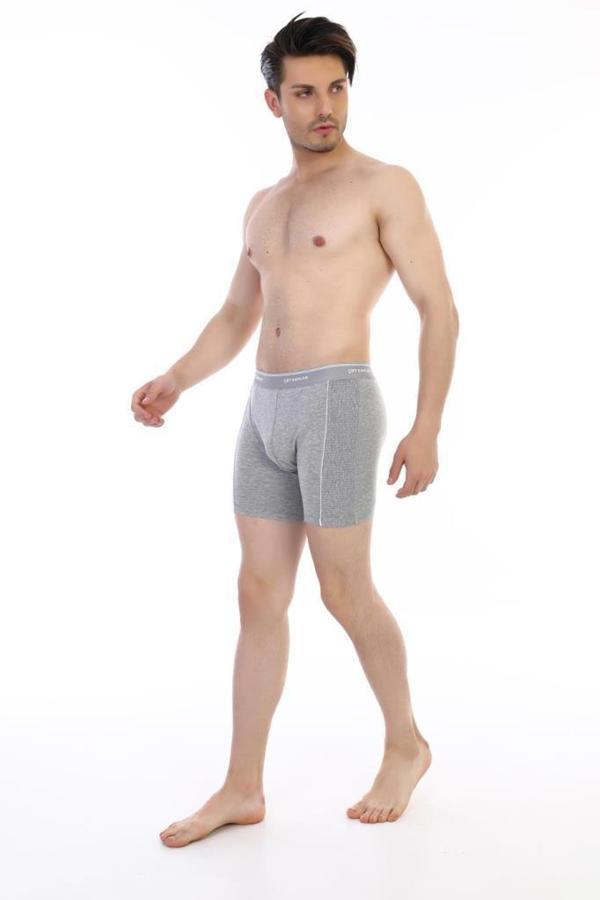 6 Adet Çift Kaplan Erkek Elastanlı Biyeli Boxer 855 - Image 1