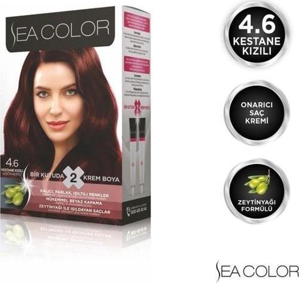 Sea Color 4.6  Kestane Kızılı Set Boya - Image 1