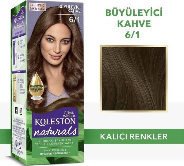 Wella Koleston Naturals Saç Boyası 6/1 Büyüleyici Kahve - Image 1