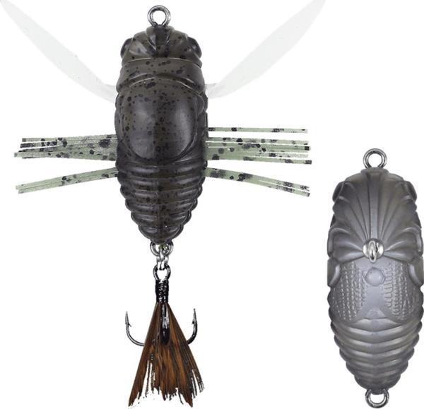 Duo Realis Shinmushi CCC3209 - Image 1