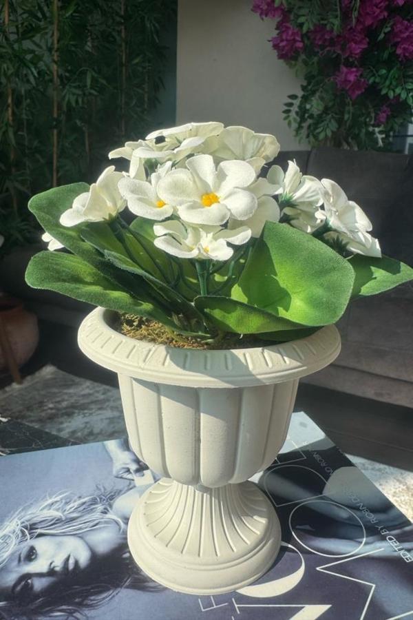 Yapay Çiçek Krem Antik Saksıda Beyaz Kadife Menekşe Gerçekçi Doku 22cm - Image 1