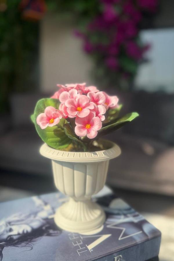 Yapay Çiçek Krem Antik Saksıda Pembe Kadife Menekşe Gerçekçi Doku 22cm - Image 1