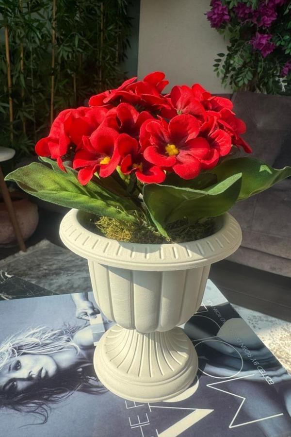 Yapay Çiçek Krem Saksıda Kırmızı Kadife Menekşe Gerçekçi Doku 22cm - Image 1