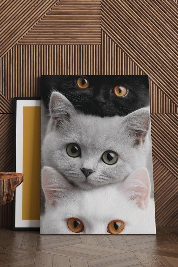 3 Kedi Kanvas Tablo - Image 1
