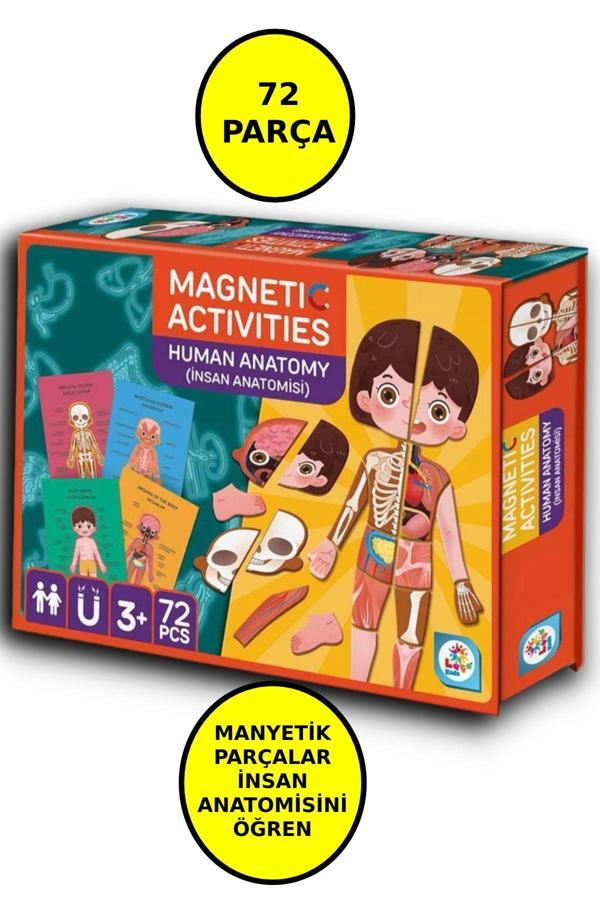 Manyetik Eğitici İnsan Anatomisi İnsan Vücudu Aktivite Oyun Seti - 72 Parça - Image 1