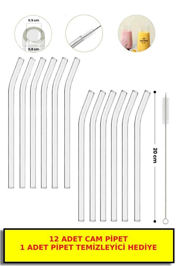 12'li Cam Pipet Ve Pipet Temizleme Fırçası, Kalın Cam Pipet - Image 1