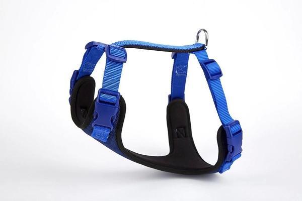 Doggie Yumuşak Softlu Köpek Göğüs Tasması 45/55 cm Mavi - Image 1