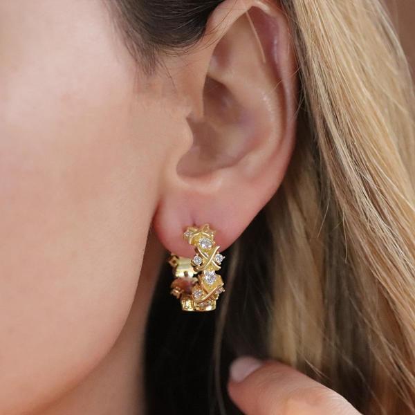 Zirkon Taşlı Daire Tffny Modeli Gold Kaplama Gümüş Işıltı Küpe - Image 1