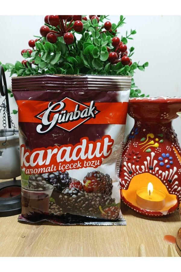Günbak Aromalı İçecek Tozu 250Gr Karadut - Image 1