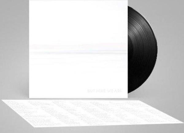 Foo Fighters But Here We Are (Black Vinyl) Plak - Image 1