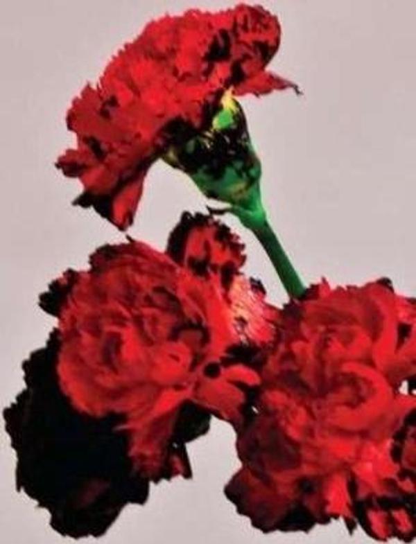 John Legend Love in The Future Plak - Image 1