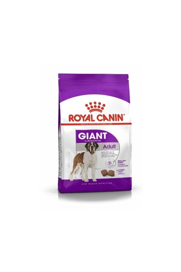 Royal Canin Giant Adult Dev Irk Köpek Maması 15 kg - Image 1