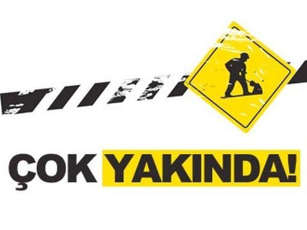 Büro Ev Ofis Etkinlik Gösteri Kostümü için 100x85CM Pembe Tüylü Melek Kanadı - Image 1