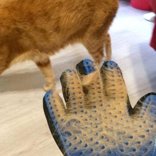 Büro Ev Ofis Evcili için Kıl Tüy Toplama Eldiveni - Image 1