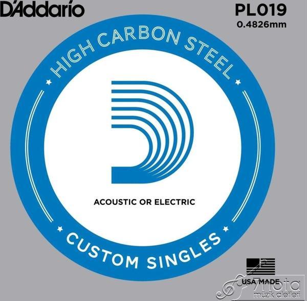 PL019 Elektro ve Akustik Tek Tel Plain Steel 019 - Image 1