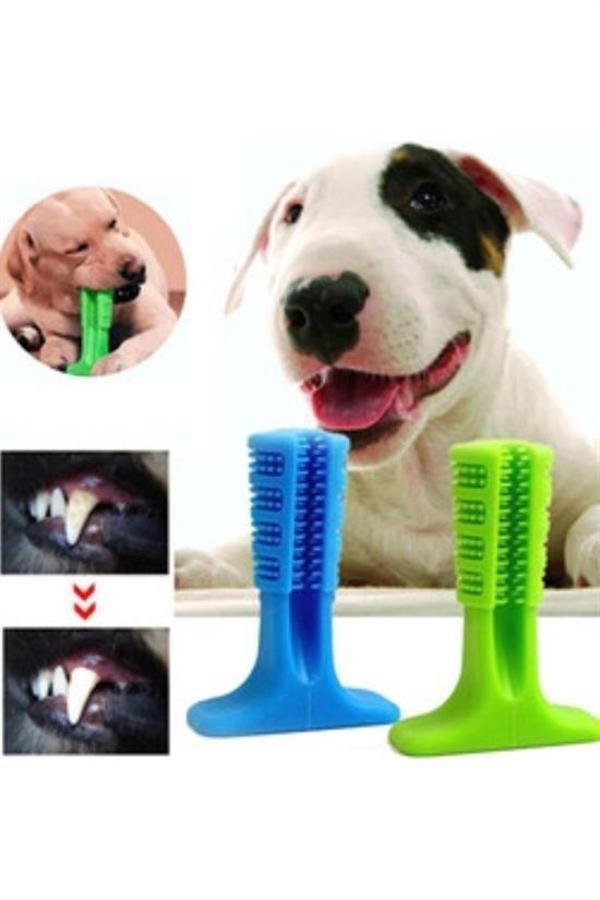 BUFFER® Köpek Diş Temizleyici ve Kaşıyıcı Sağlıklı Küçük Boy Oyuncak - Image 1