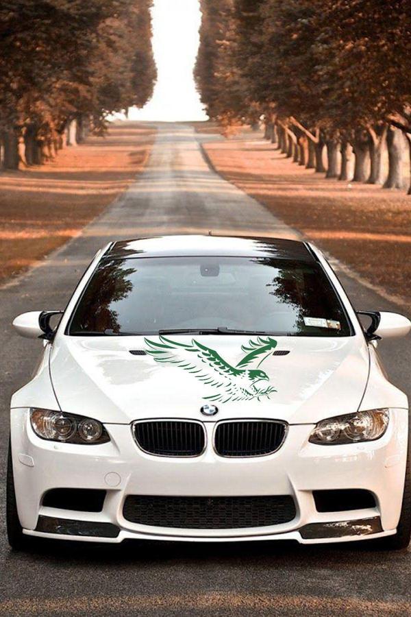 Motto Sticker Yeşil Şahin Sticker 58X31Cm Araba Sticker - Image 1