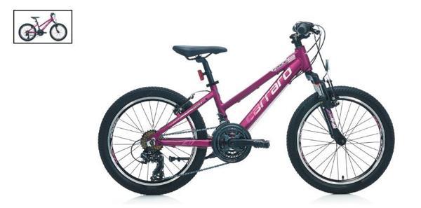 20  CARRARO FORCE 201 250H 21-V VB MAT MÜRDÜM-PEMBE R1 - Image 1