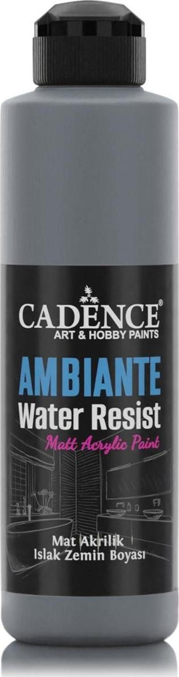AMBIENTE ISLAK ZEMİN BOYASI AW-22 GRAFİTİ GRİ 250ML + KATALİZÖR 10GR - Image 1