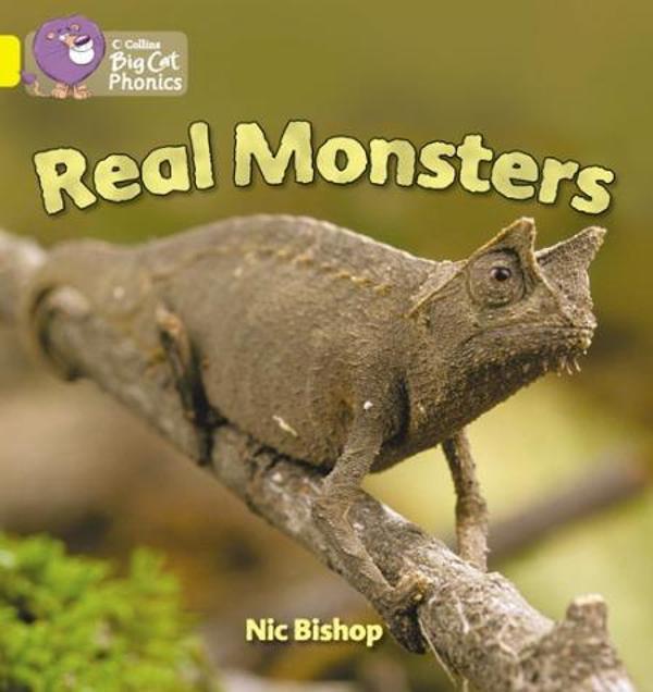 Real Monsters (BC-3 Yellow) phonic - Image 1