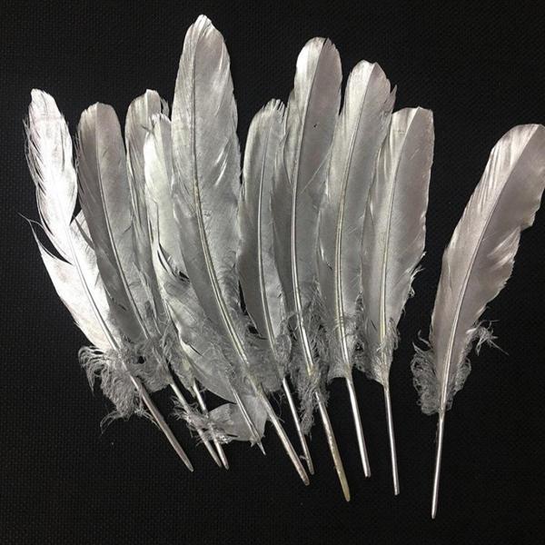 Kuzey 10Adet Metalik Parlak Gümüş Kuş Tüyü Gümüş Kuş Tüyü Decorsilver Bırd Feather Gümüş Şeffaf Balon Tüyü - Image 1
