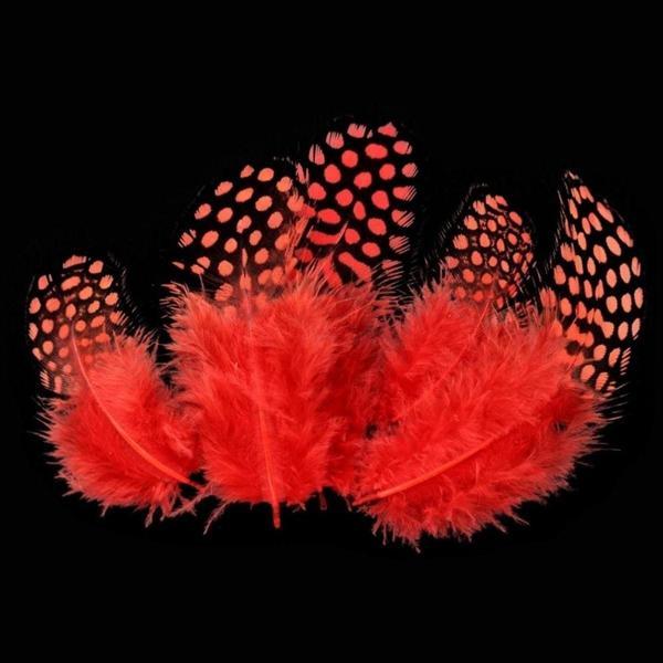 Kuzey 50Adet Puantiyeli Kırmızı Siyah Kuş Tüyü Kırmızı Kuş Tüyü Red Bırd Feather Kırmızı Şeffaf Balon Tüyü - Image 1
