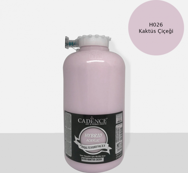 H-026 KAKTÜS ÇİÇEĞİ 2 LİTRE MULTISURFACE HYBRID AKR. - Image 1