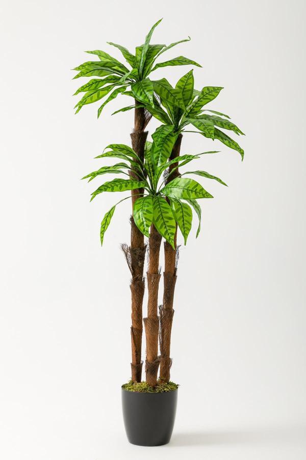 Yapay Kılıç Ağacı 150 Cm 54 Dal Alacalı Yeşil - Image 1