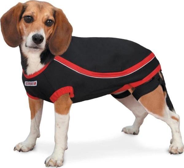Kong Köpek Anksiyete Giderici Elbise Xs - Image 1
