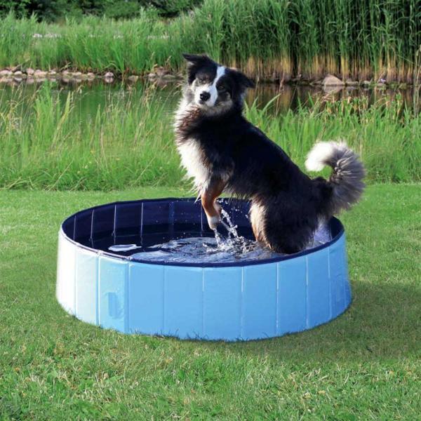 Trixie Köpek Havuzu Çap 80cm Derinlik 20cm - Image 1