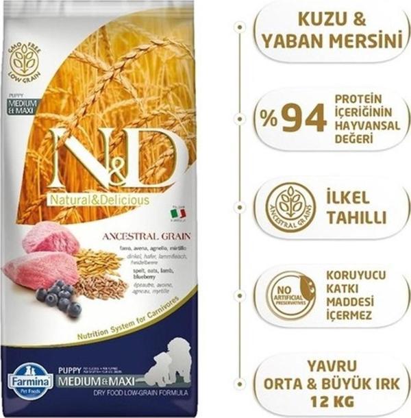 N&D Low Kuzu&Yaban Mersin Orta Büyük Irk Yavru Köpek Maması 12 Kg - Image 1