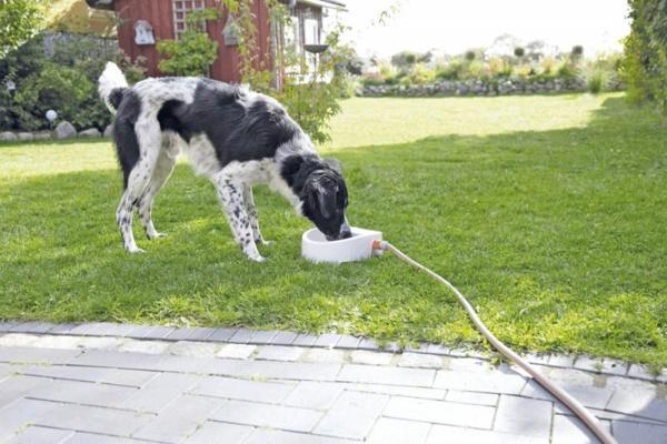 Trixie Köpek Kedi Suluğu 1,5lt 24x10x23cm - Image 1