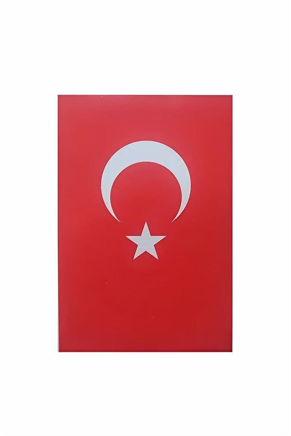 Alsepeteavm Kartpostal Bayrak 11x17 cm (10 Lu ) - Image 1