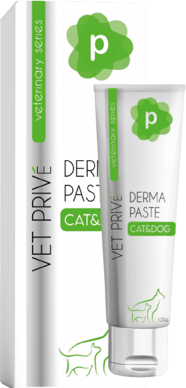VET PRIVE DERMA PASTE / DERMATOLOJİK PASTA 100 GR - Image 1