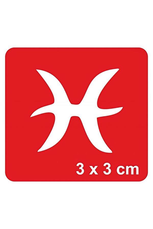 Alsepeteavm Balık Burcu Tattoo Geçici Dövme Şablonları Kına Kalıpları - Image 1