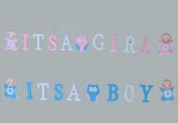 KEÇEDEN ODA SÜSÜ ITS‘A BOY MAVİ 1 ADET - Image 1